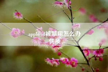 apple id被禁用怎么办
优质  第21张