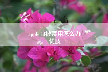 apple id被禁用怎么办
优质  第20张