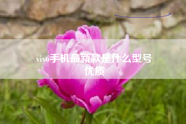 vivo手机最新款是什么型号
优质  第19张