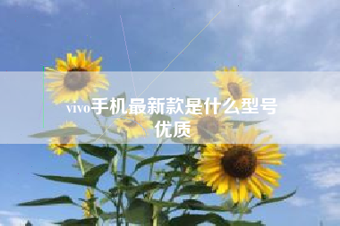 vivo手机最新款是什么型号
优质  第18张