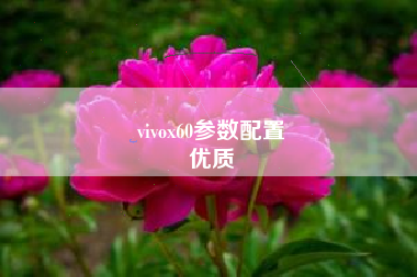 vivox60参数配置
优质  第19张