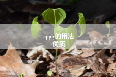 apply的用法
优质  第23张