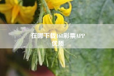 在哪下载168彩票APP
优质  第32张