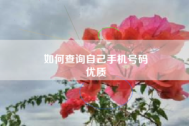 如何查询自己手机号码
优质  第29张