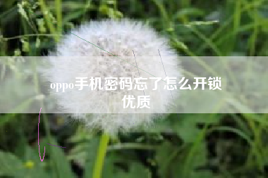 oppo手机密码忘了怎么开锁
优质  第31张