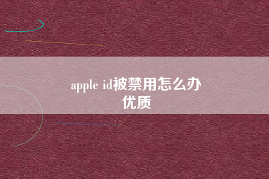 apple id被禁用怎么办
优质  第18张