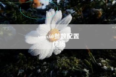 vivox60参数配置
优质  第18张