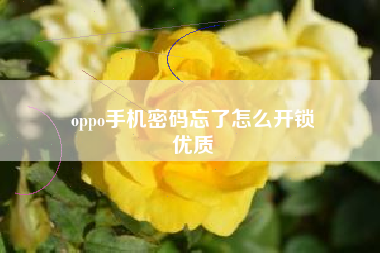 oppo手机密码忘了怎么开锁
优质  第30张