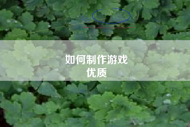 如何制作游戏
优质  第34张