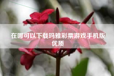 在哪可以下载玛雅彩票游戏手机版
优质  第24张