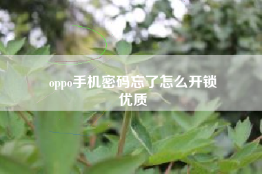 oppo手机密码忘了怎么开锁
优质  第27张