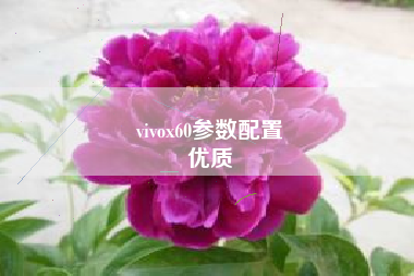 vivox60参数配置
优质  第16张