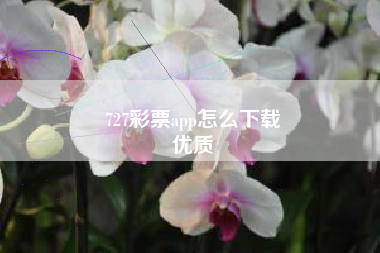 727彩票app怎么下载
优质  第24张