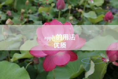 apply的用法
优质  第18张