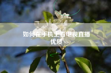 如何在手机上看电视直播
优质  第23张