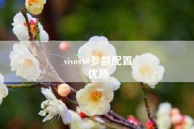 vivox60参数配置
优质  第15张