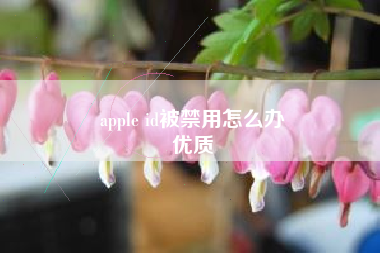 apple id被禁用怎么办
优质  第16张