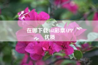 在哪下载168彩票APP
优质  第24张