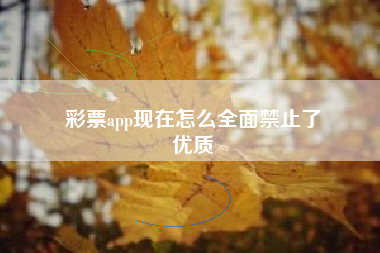 彩票app现在怎么全面禁止了
优质  第18张