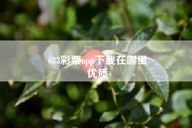 683彩票app下载在哪里
优质  第26张