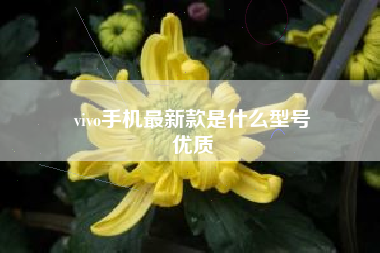 vivo手机最新款是什么型号
优质  第12张