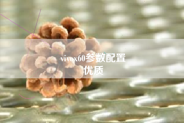 vivox60参数配置
优质  第13张