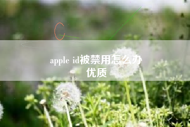 apple id被禁用怎么办
优质  第14张