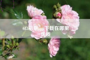 683彩票app下载在哪里
优质  第21张