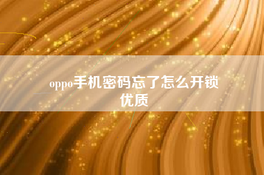 oppo手机密码忘了怎么开锁
优质  第18张