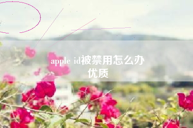 apple id被禁用怎么办
优质  第13张