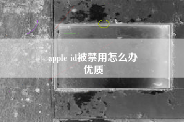 apple id被禁用怎么办
优质  第12张