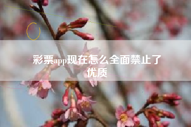 彩票app现在怎么全面禁止了
优质  第14张