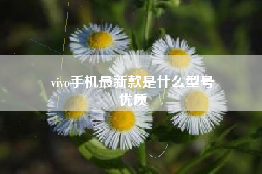 vivo手机最新款是什么型号
优质  第9张