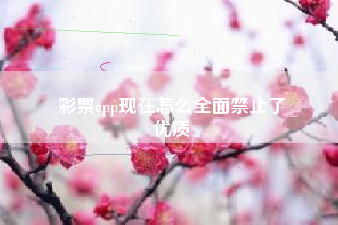 彩票app现在怎么全面禁止了
优质  第10张