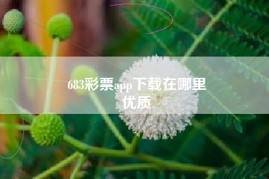 683彩票app下载在哪里
优质  第17张