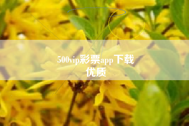 500vip彩票app下载
优质  第16张