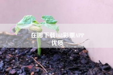 在哪下载168彩票APP
优质  第17张