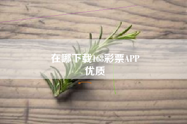 在哪下载168彩票APP
优质  第15张