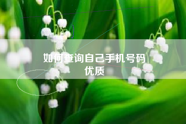 如何查询自己手机号码
优质  第17张