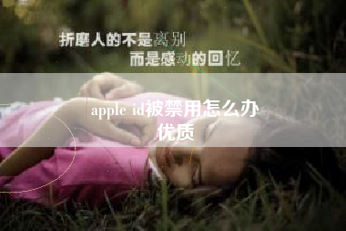 apple id被禁用怎么办
优质  第9张