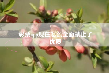 彩票app现在怎么全面禁止了
优质  第9张