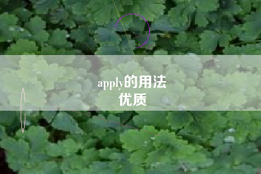 apply的用法
优质  第13张