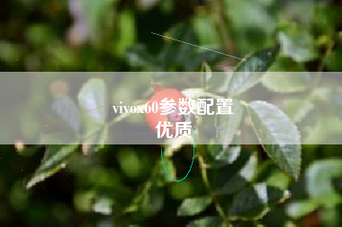 vivox60参数配置
优质  第9张