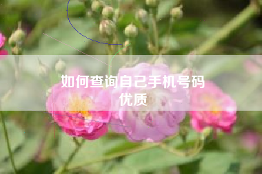 如何查询自己手机号码
优质  第16张