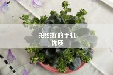 拍照好的手机
优质  第6张