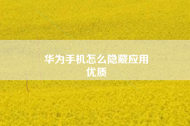 华为手机怎么隐藏应用
优质  第11张