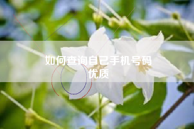 如何查询自己手机号码
优质  第15张