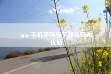 oppo手机密码忘了怎么开锁
优质  第13张