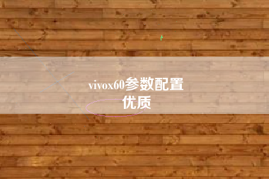 vivox60参数配置
优质  第8张