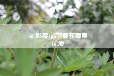 683彩票app下载在哪里
优质  第10张